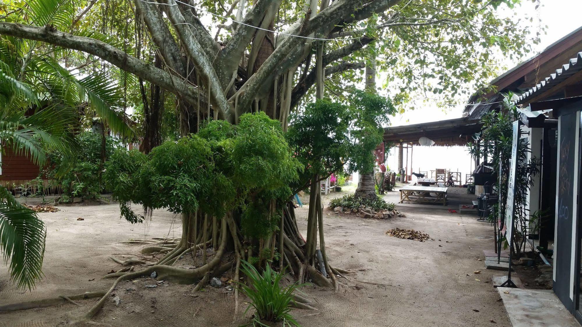 'O Sole Mio Hotel Koh Phangan Eksteriør billede